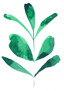 Full body relaxation massage /1hr @ Revive Remedial & Relaxation Massage Therapy Menai